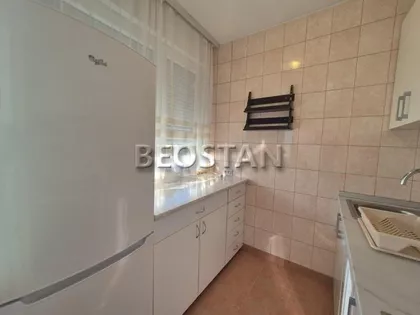 Dr Ivana Ribara | 4zida.rs