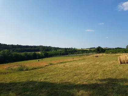 Kosmajska | 4zida.rs