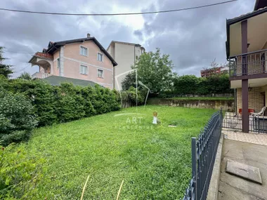Svetozara Radojčića