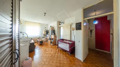 Čukarička Padina | 4zida.rs