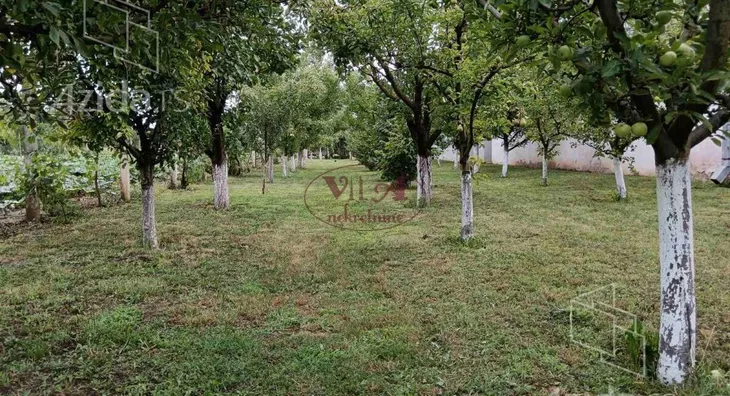 Plac | 4zida