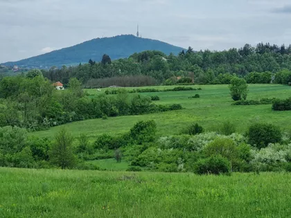 Kapetana Vladimira Vujičića 36 | 4zida.rs