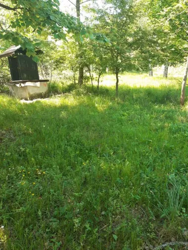 Ljube Bogosavljevića