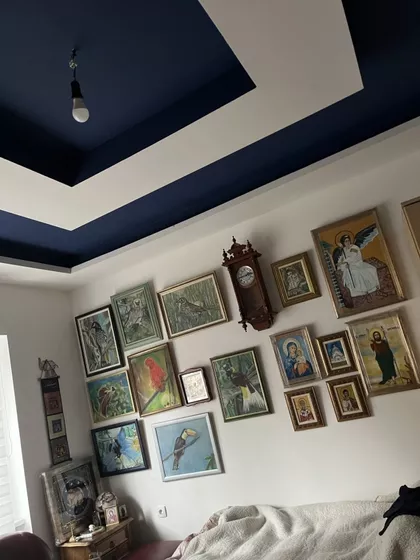Detelinara | 4zida.rs