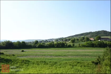 Kolonija | 4zida.rs