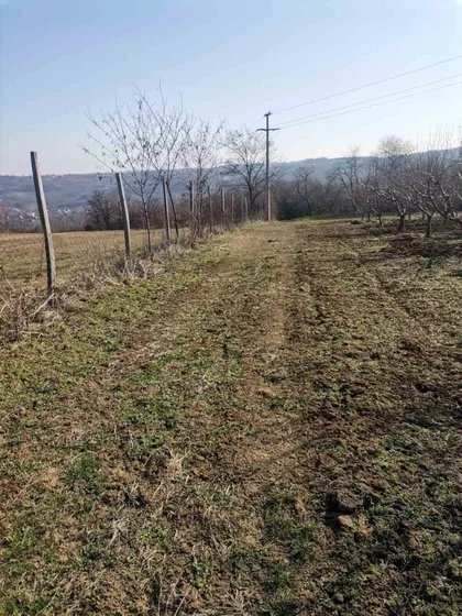 Varovničkih Ratnika | 4zida.rs