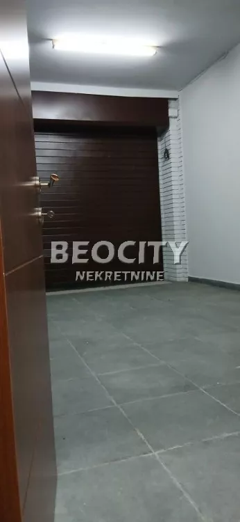 Ulofa Palmea | 4zida.rs