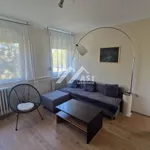 Liman 4, Liman, Gradske lokacije, Novi Sad | 4zida.rs | 4zida.rs