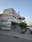 Lokal | 4zida