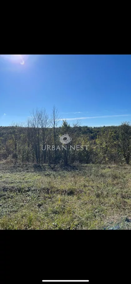 Slobodana Mihića | 4zida.rs