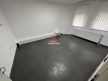 Petra Drapšina | 4zida.rs