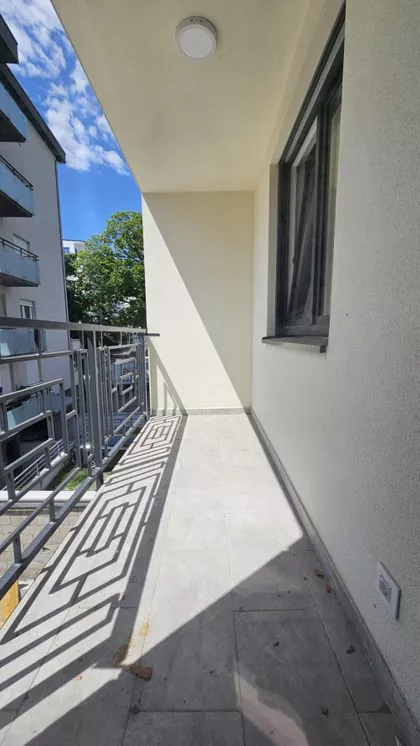 Cara Dušana | 4zida.rs