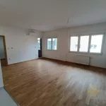 Novi Sad, Gradske lokacije, Podbara | 4zida.rs | 4zida.rs