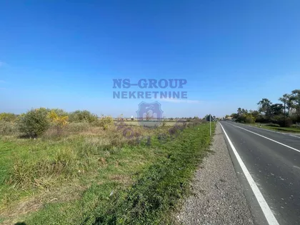 Novosadski Put | 4zida.rs