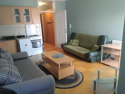 Luke Sučića | 4zida.rs