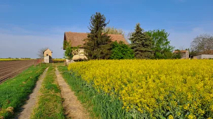 Stari Žednik | 4zida.rs