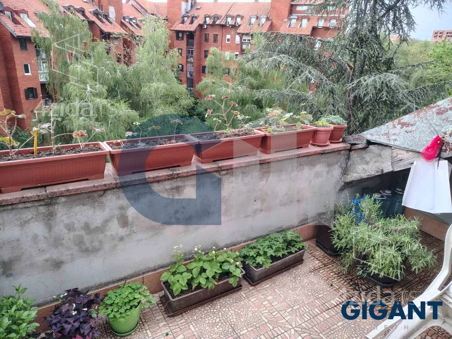 Petosoban stan | 4zida