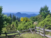 Zaovine, Tara | 4zida.rs