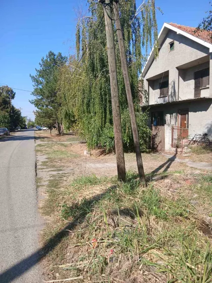 Žarka Zrenjanina 15 | 4zida.rs