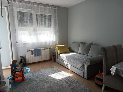 Zmaj Ognjena Vuka | 4zida.rs