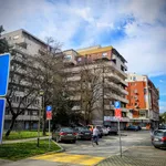 Šabac, Gradske lokacije, Centar | 4zida.rs | 4zida.rs