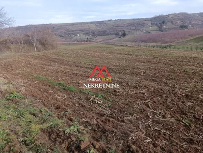 Karlovačkih Vinogradara | 4zida.rs