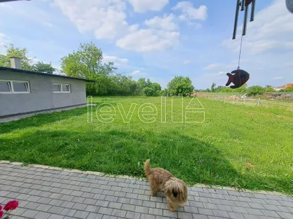 Novi Futog | 4zida.rs
