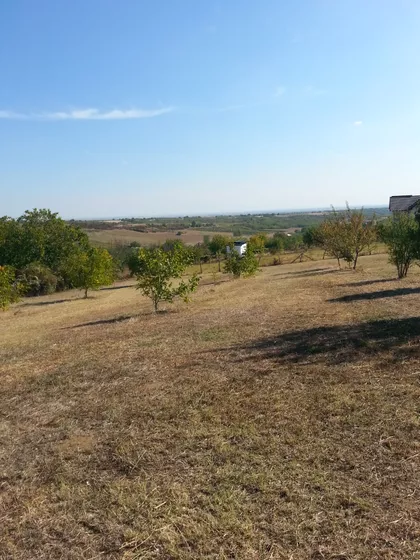 Svetosavska | 4zida.rs