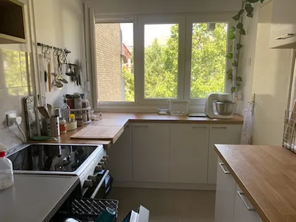 Mis Irbijeva 58 | 4zida.rs