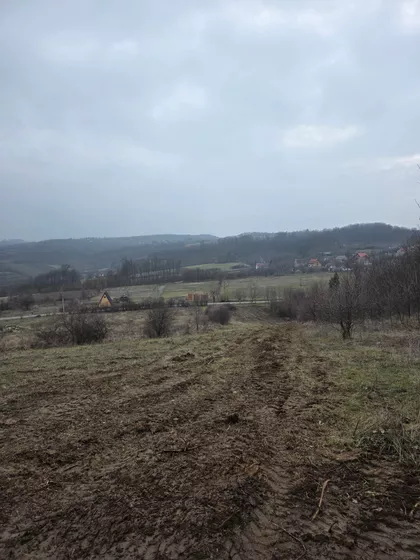 Save Kovačevića | 4zida.rs