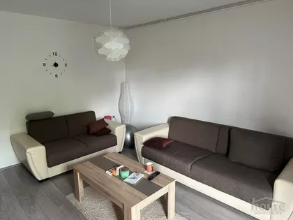 Detelinara | 4zida.rs