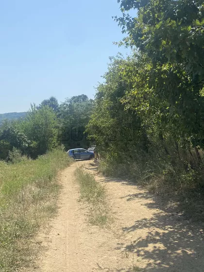 Užičke republike | 4zida.rs