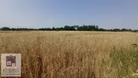 Poljoprivredno zemljište | 4zida