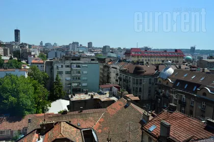 ZELENI VENAC | 4zida.rs