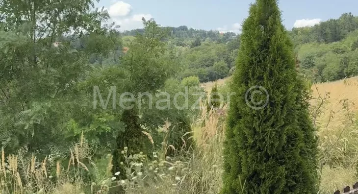 Plac | 4zida