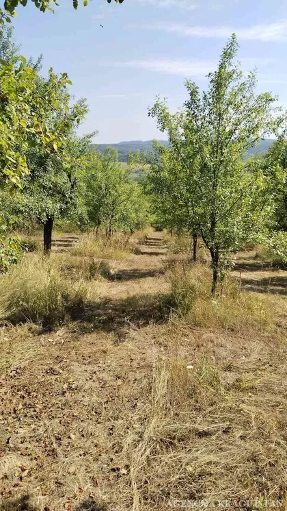 Gornja Sabanta | 4zida.rs