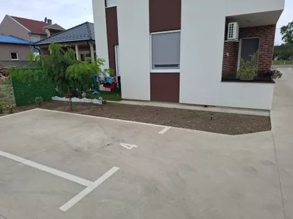Miše Uboje 11 | 4zida.rs