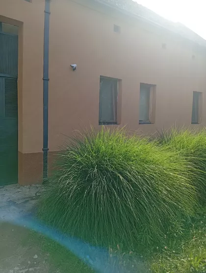 Bavanište | 4zida.rs