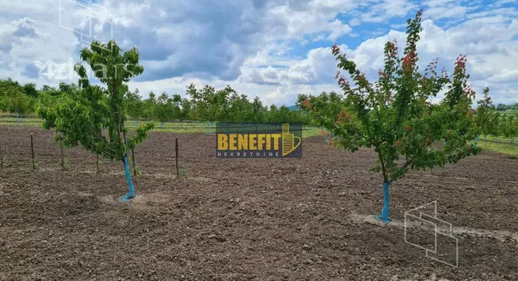 Poljoprivredno zemljište | 4zida