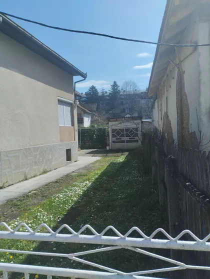 Nadežde Petrović | 4zida.rs