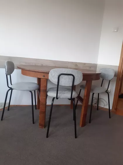 Milice Stojadinović Srpkinje 2 | 4zida.rs