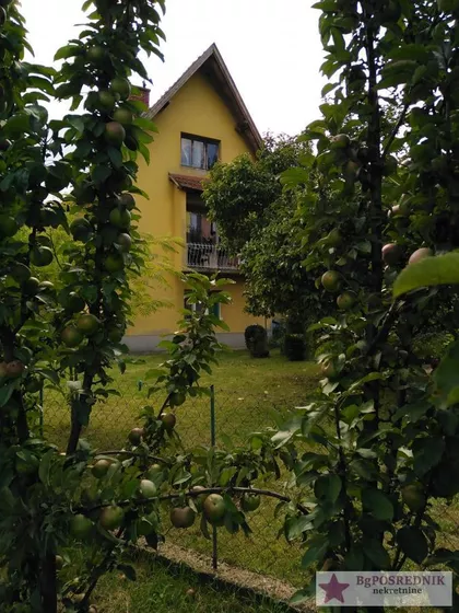 Kosmajska | 4zida.rs