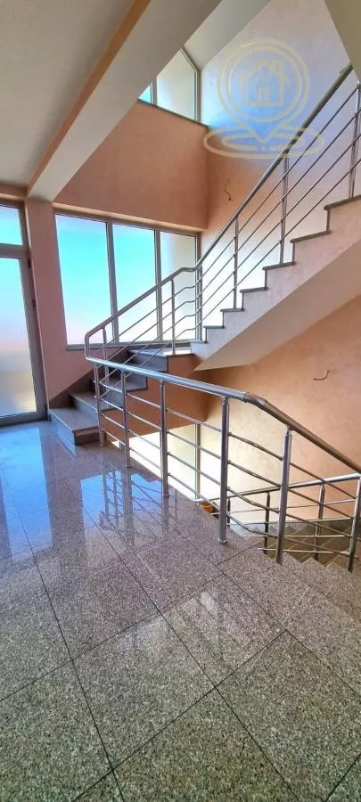 Branko Bjegović | 4zida.rs