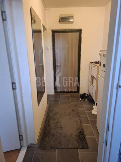 Pilota Mihaila Petrovića | 4zida.rs