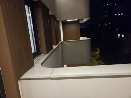 Gospodara Vučića | 4zida.rs