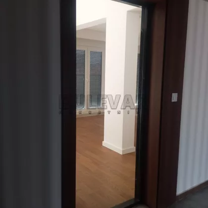 Dragoljuba Milovanovića Bene | 4zida.rs