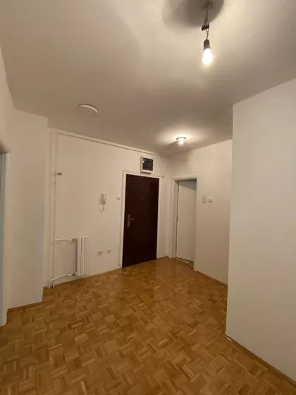Cara Dušana | 4zida.rs