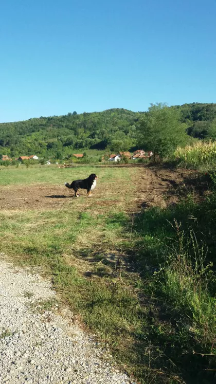 Milorada Miljkovića | 4zida.rs