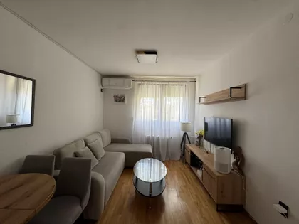 Ivana Mičurina | 4zida.rs