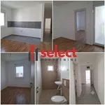 Adice, Gradske lokacije, Novi Sad | 4zida.rs | 4zida.rs